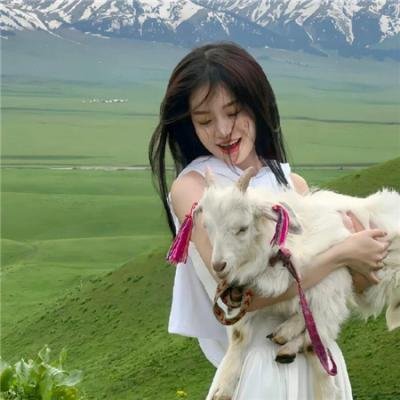 札克与沃沃:幻兽传说