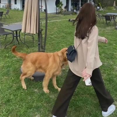 投靠女与出走男